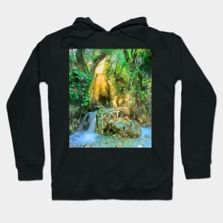 Creek In The Forest Hoodie